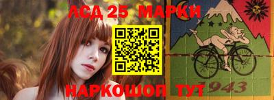 шишки Будённовск