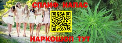 шишки Будённовск