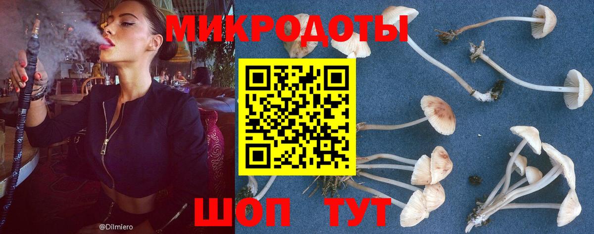 Галлюциногенные грибы Magic Shrooms  Галлюциногенные грибы MAGIC MUSHROOMS  Майкоп  Вход с VPN 